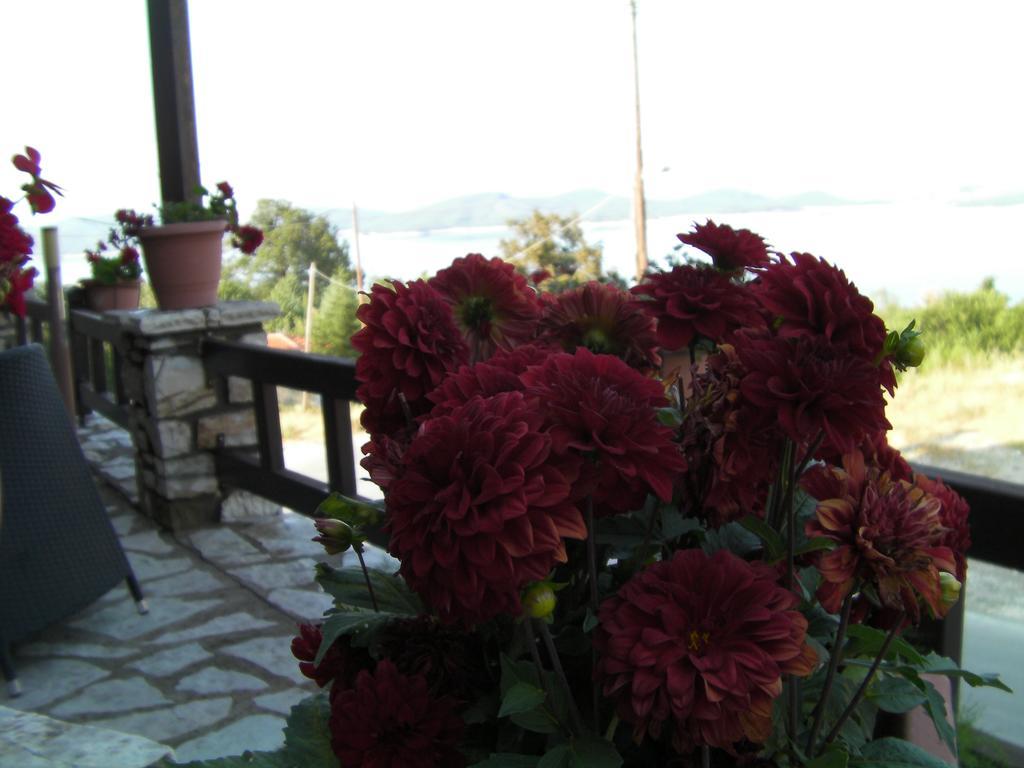 Pandion Luxury Boutique Hotel & Suites With Spa Neo Chorio Esterno foto